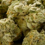 LuckyFarms-Goudaberries-01