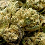 LuckyFarms-Permanent-Marker-01