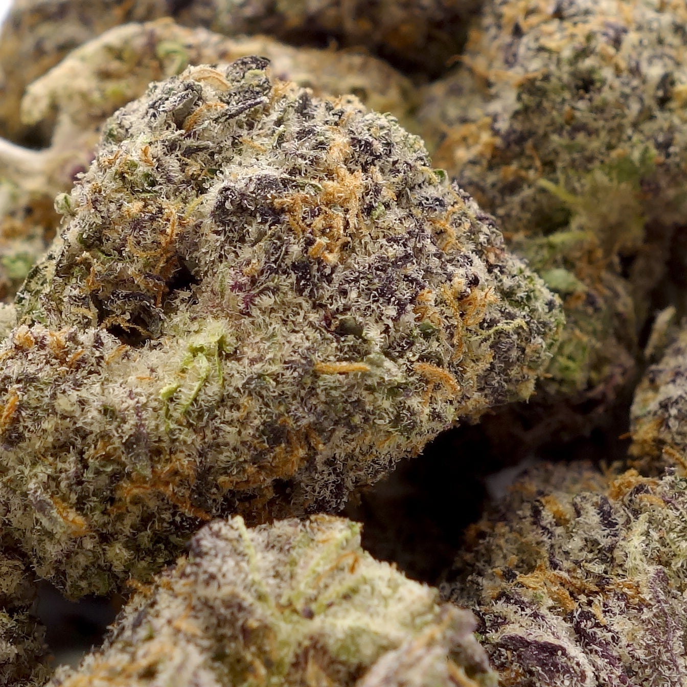 MumsCannabis-Blue-Cotes-03