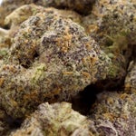 MumsCannabis-Blue-Cotes-01