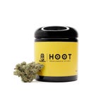 PurpleDragon-Hoot-07