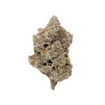 PurplePineapple-Hoot-07