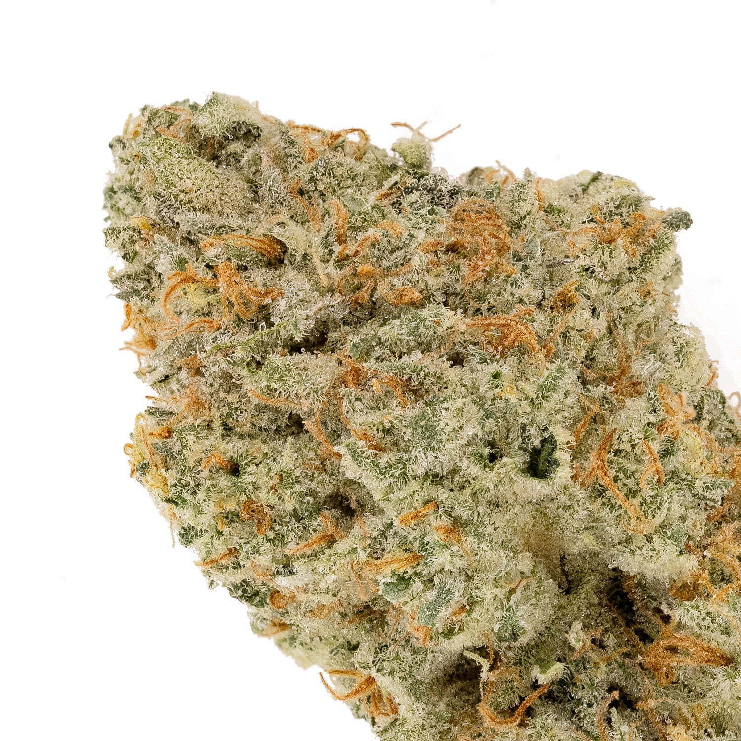 StrawberryGuava-Albatross-04