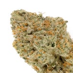 StrawberryGuava-Albatross-03