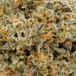 StrawberryGuava-Albatross-03