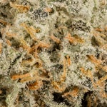 StrawberryGuava-Albatross-03