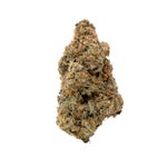 StrawberryHaze-Hoot-01