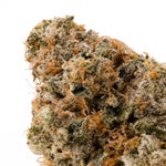 StrawberryHaze-Hoot-01