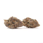 SweetGasGelato-Hoot-07