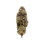 TruffleButter-Hoot-07