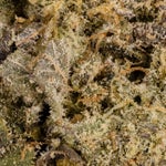 TruffleButter-Hoot-07