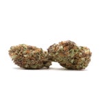 JungleRidge-SuperBoof-01