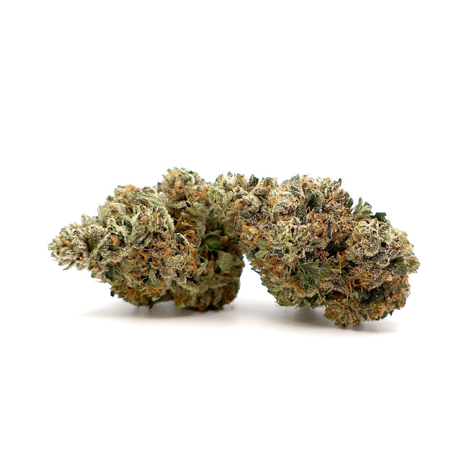 Albatross-Gucci-Pink-02