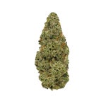 Albatross-Legend-OG-01