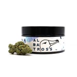 Albatross-Legend-OG-01