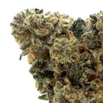 Albatross-Permanent-Marker-01