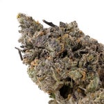 BlackberryOctane-Superdank-03