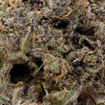 BlackberryOctane-Superdank-03