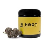 CherryTsunami-Hoot-07