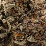 DeathBubba-LuckyFarms-03