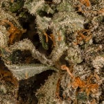DeathBubba-LuckyFarms-03