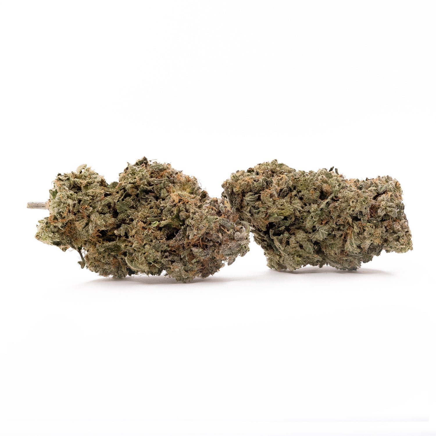 Diablo-LuckyFarms-01