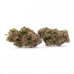 Diablo-LuckyFarms-02