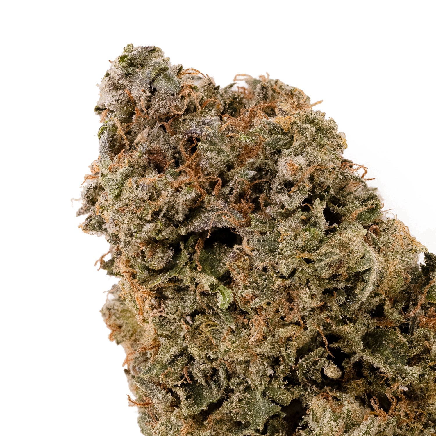 Diablo-LuckyFarms-04