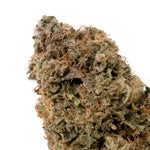 Diablo-LuckyFarms-02