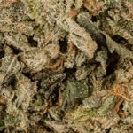 Diablo-LuckyFarms-02