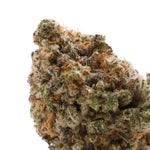 DollarTreez-Sugar-Cookies-01