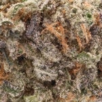 DollarTreez-Sugar-Cookies-01