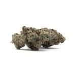 Frozen Grapes (3 of 6)