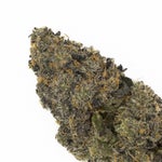 Frozen Grapes (3 of 6)