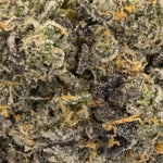 Frozen Grapes (3 of 6)