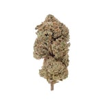 GalacticGas-Superdank-03