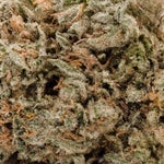 GalacticGas-Superdank-03