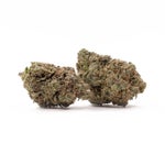 GasMask-Superdank-03