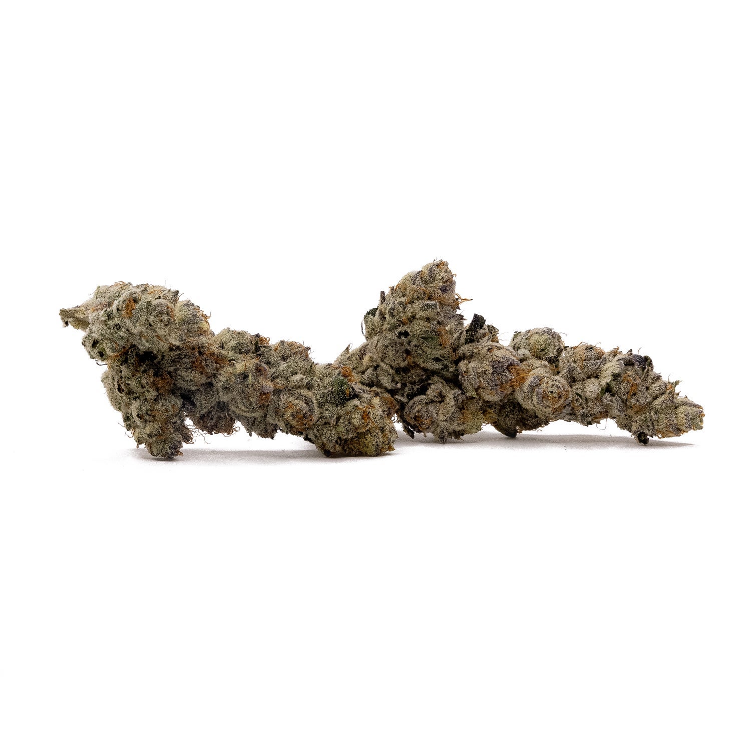 Gummiez-Albatross-01