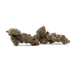 Gummiez-Albatross-03