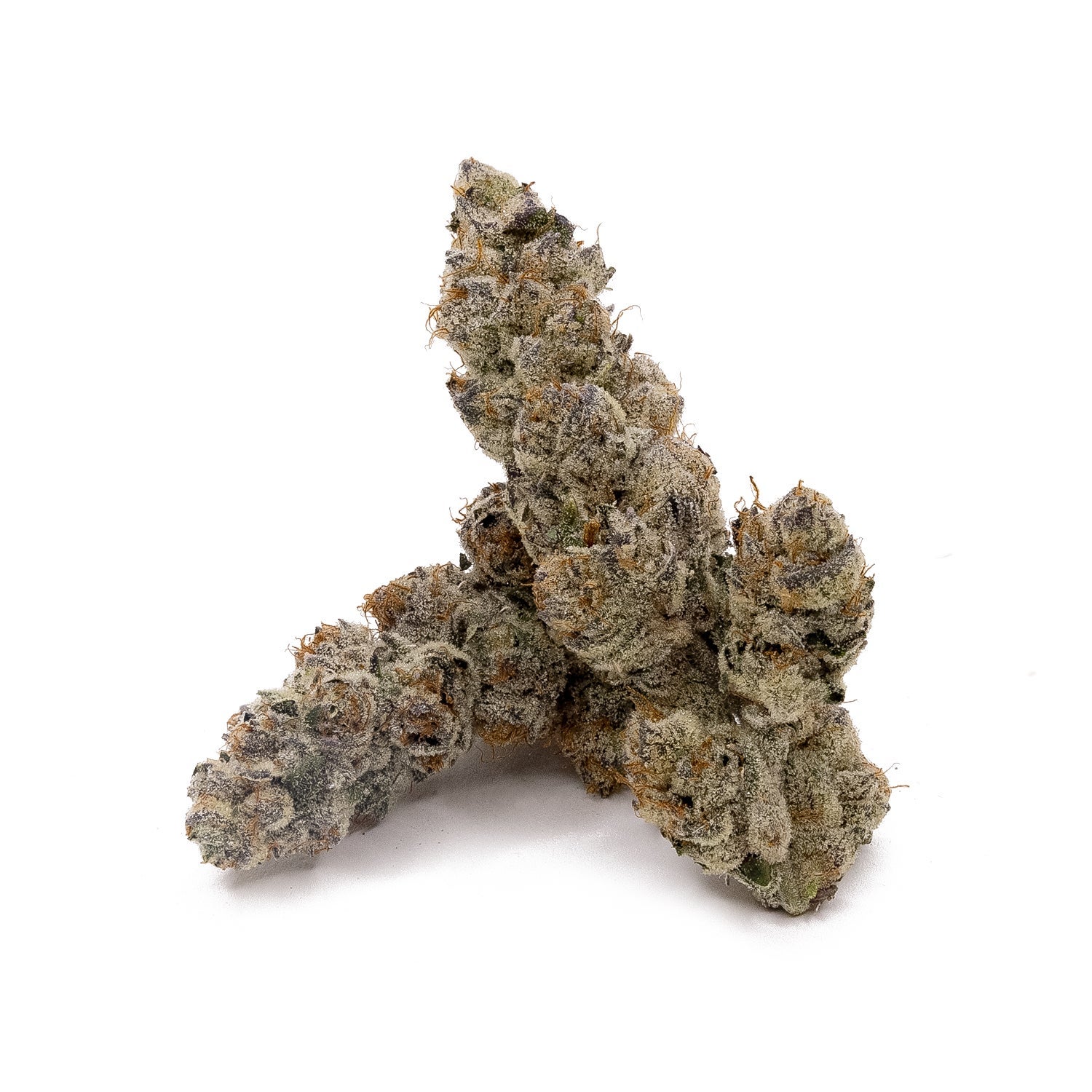 Gummiez-Albatross-02