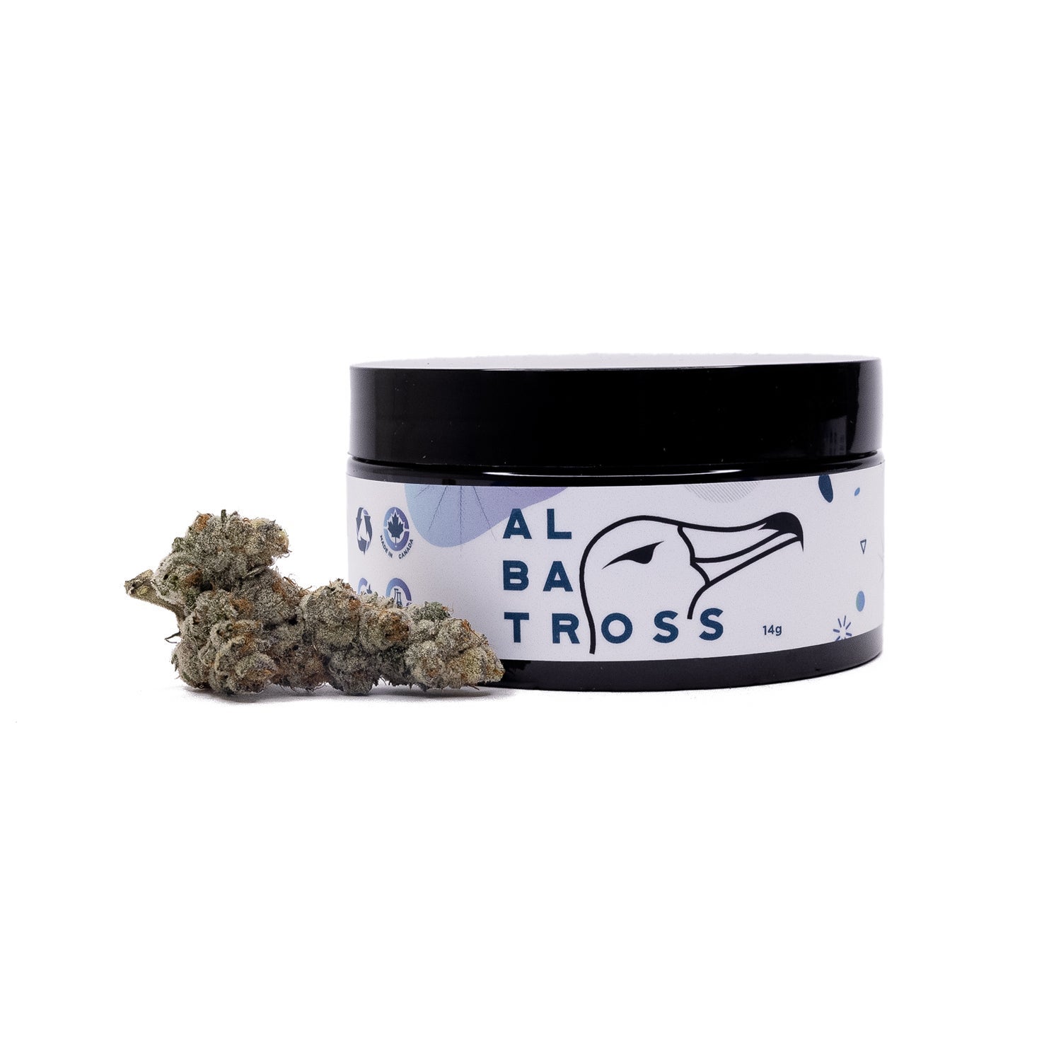 Gummiez-Albatross-07