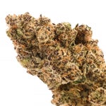 Hoot-Blueberry-Sugar-01