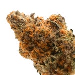 Hoot-Cannabis-Grey-Goose-01