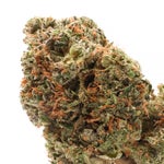 JungleRidge-Death-Bubba-01