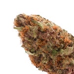 JungleRidge-SuperBoof-01