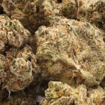 Lucky-Farms-Triangle-Kush-01