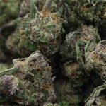 LuckyFarms-Larry-Bird-Smalls-1