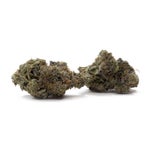 MintChocolateChip-Hoot-07