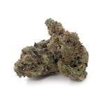 MintChocolateChip-Hoot-07